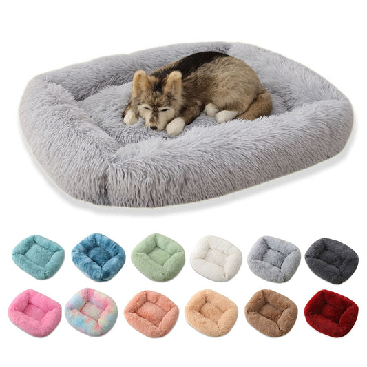 Paws Up for Paradise! Spoil Your Pup with a Luxury Plush Palace Pet Bed